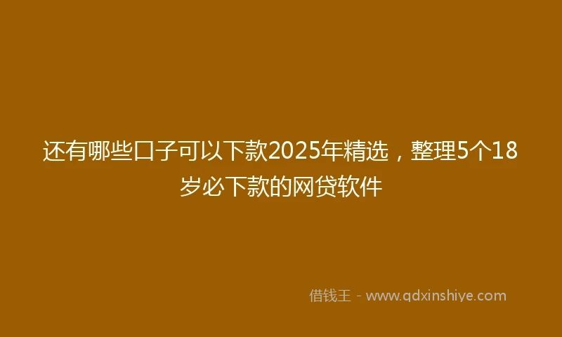 还有哪些口子可以下款2025年精选，整理5个18岁必下款的网贷软件