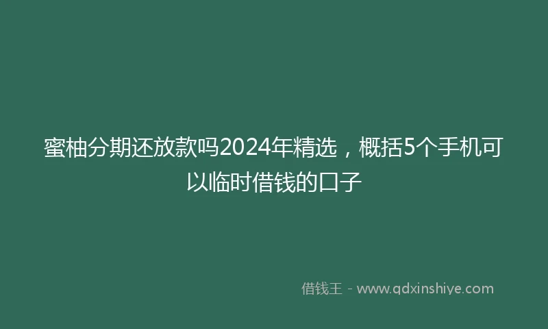 蜜柚分期还放款吗2024年精选，概括5个手机可以临时借钱的口子