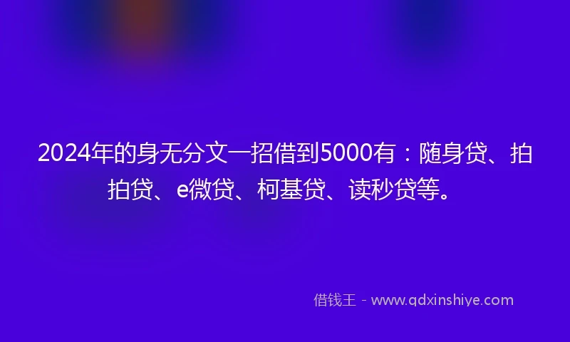 2024年的身无分文一招借到5000有：随身贷、拍拍贷、e微贷、柯基贷、读秒贷等。