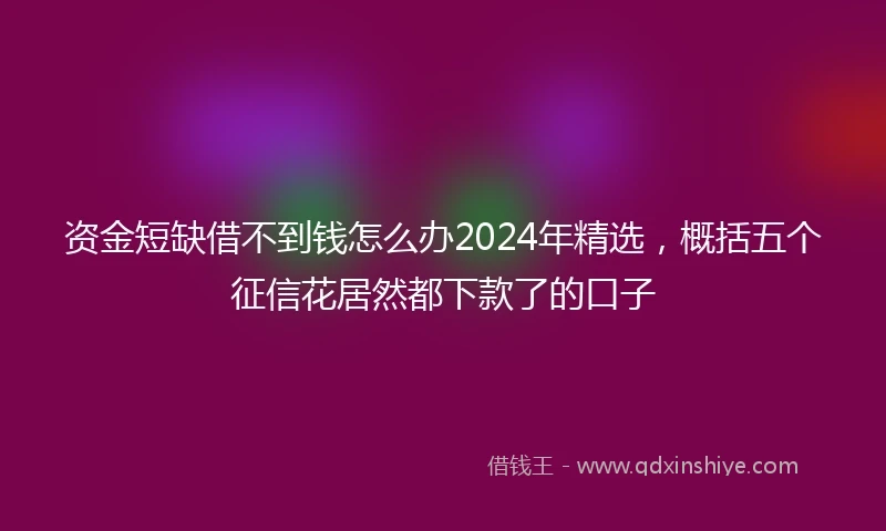 资金短缺借不到钱怎么办2024年精选，概括五个征信花居然都下款了的口子