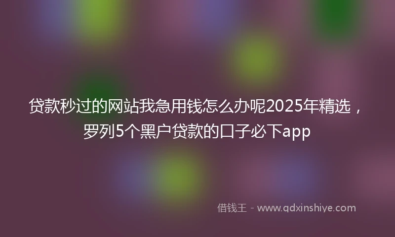贷款秒过的网站我急用钱怎么办呢2025年精选，罗列5个黑户贷款的口子必下app