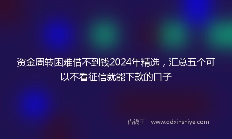 资金周转困难借不到钱2024年精选，汇总五个可以不看征信就能下款的口子