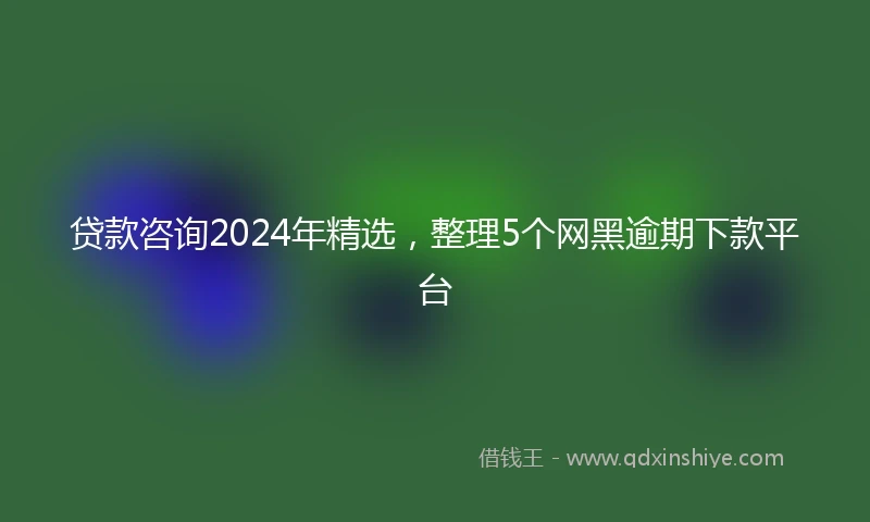 贷款咨询2024年精选，整理5个网黑逾期下款平台