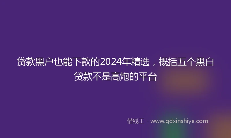 贷款黑户也能下款的2024年精选，概括五个黑白贷款不是高炮的平台
