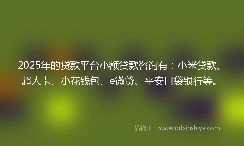 2025年的贷款平台小额贷款咨询有：小米贷款、超人卡、小花钱包、e微贷、平安口袋银行等。