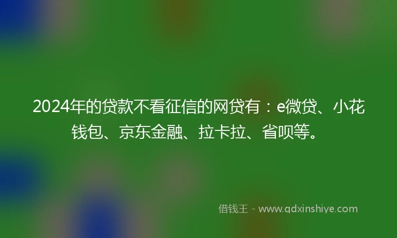 2024年的贷款不看征信的网贷有：e微贷、小花钱包、京东金融、拉卡拉、省呗等。