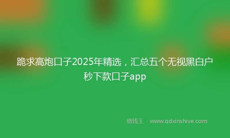 跪求高炮口子2025年精选，汇总五个无视黑白户秒下款口子app
