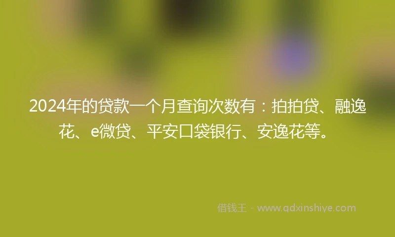 2024年的贷款一个月查询次数有：拍拍贷、融逸花、e微贷、平安口袋银行、安逸花等。