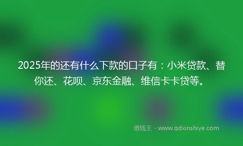2025年的还有什么下款的口子有：小米贷款、替你还、花呗、京东金融、维信卡卡贷等。