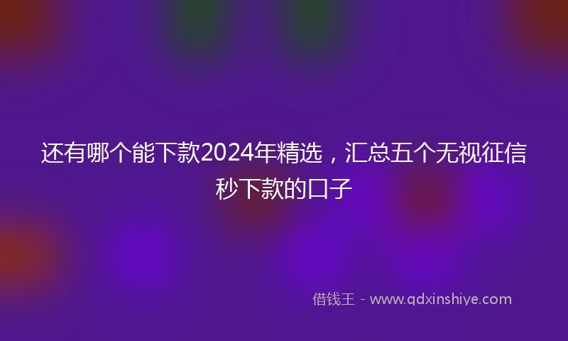 还有哪个能下款2024年精选，汇总五个无视征信秒下款的口子