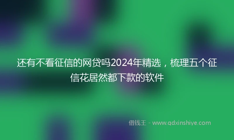 还有不看征信的网贷吗2024年精选，梳理五个征信花居然都下款的软件