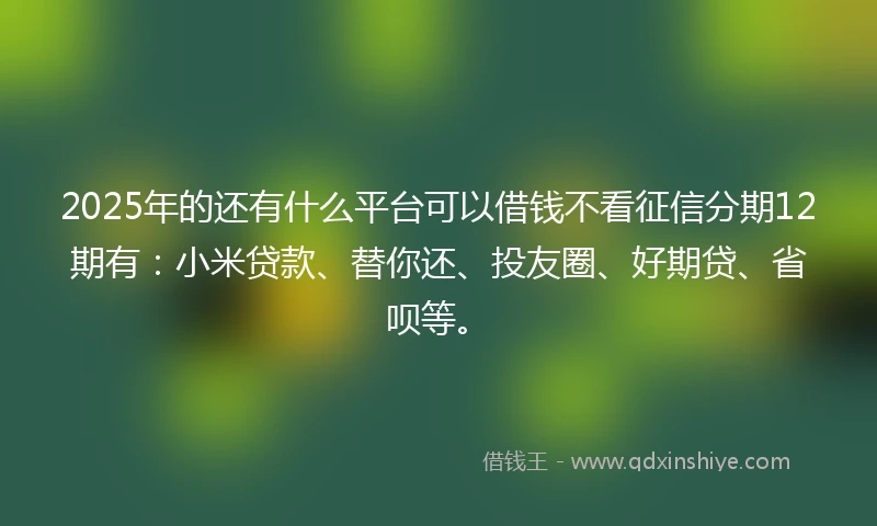 2025年的还有什么平台可以借钱不看征信分期12期有：小米贷款、替你还、投友圈、好期贷、省呗等。