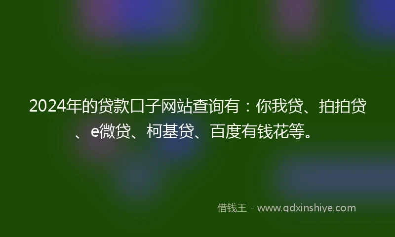 2024年的贷款口子网站查询有：你我贷、拍拍贷、e微贷、柯基贷、百度有钱花等。