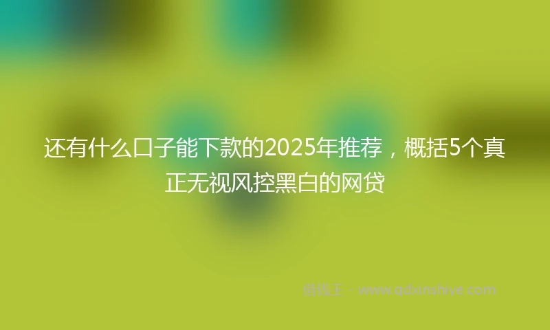 还有什么口子能下款的2025年推荐，概括5个真正无视风控黑白的网贷