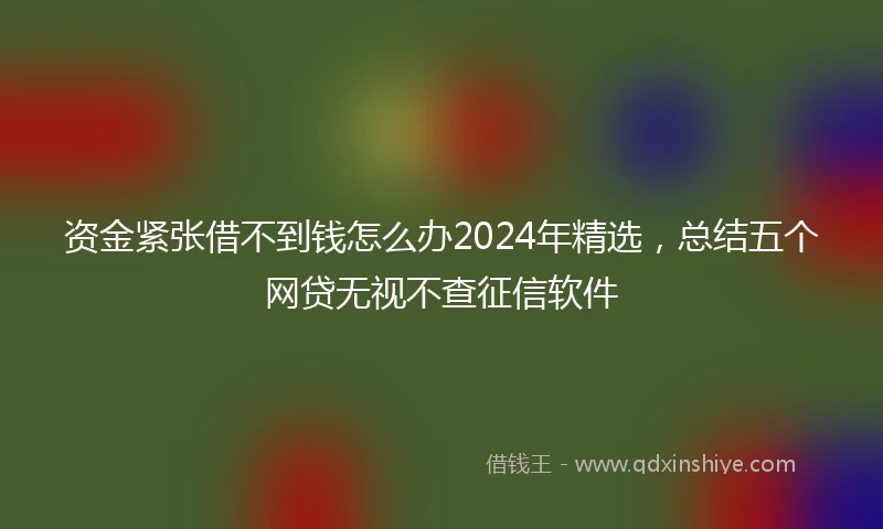 资金紧张借不到钱怎么办2024年精选，总结五个网贷无视不查征信软件