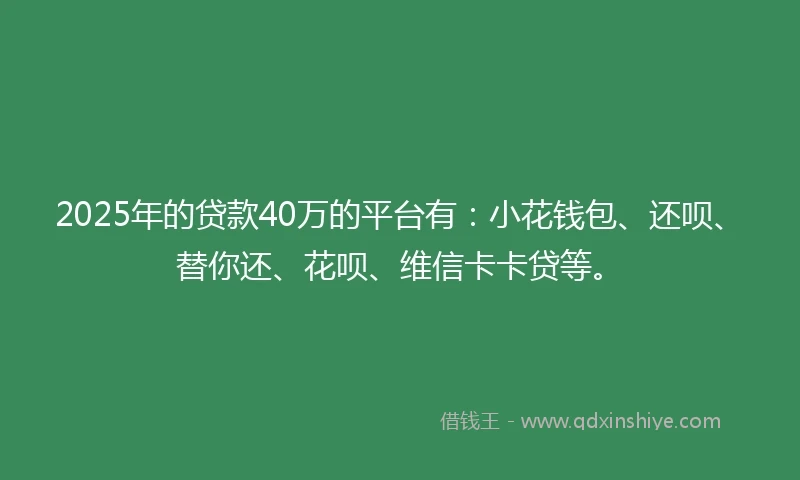 2025年的贷款40万的平台有：小花钱包、还呗、替你还、花呗、维信卡卡贷等。