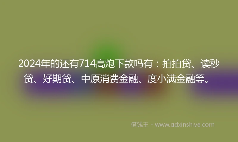 2024年的还有714高炮下款吗有：拍拍贷、读秒贷、好期贷、中原消费金融、度小满金融等。