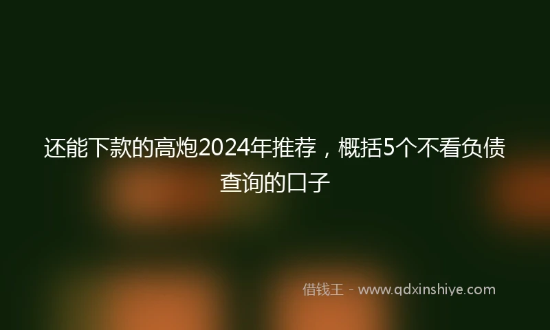 还能下款的高炮2024年推荐，概括5个不看负债查询的口子