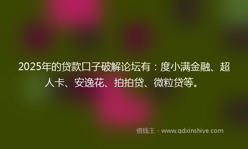 2025年的贷款口子破解论坛有：度小满金融、超人卡、安逸花、拍拍贷、微粒贷等。