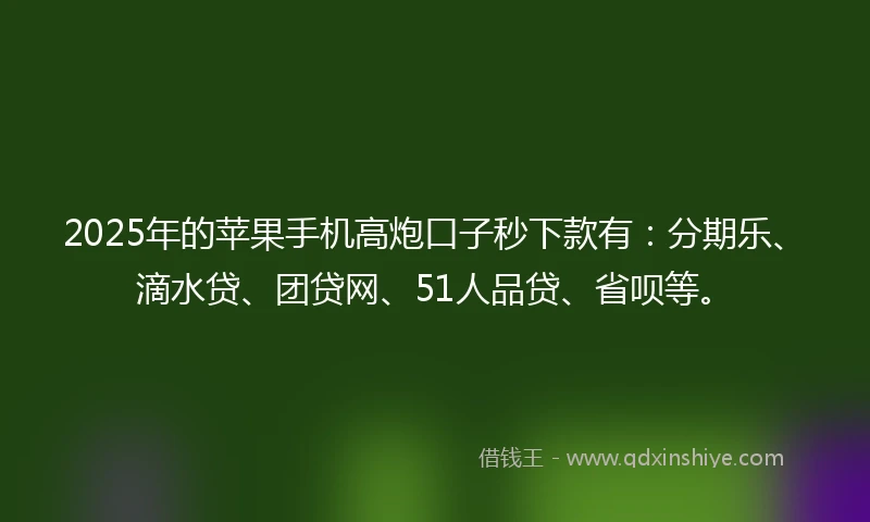 2025年的苹果手机高炮口子秒下款有：分期乐、滴水贷、团贷网、51人品贷、省呗等。