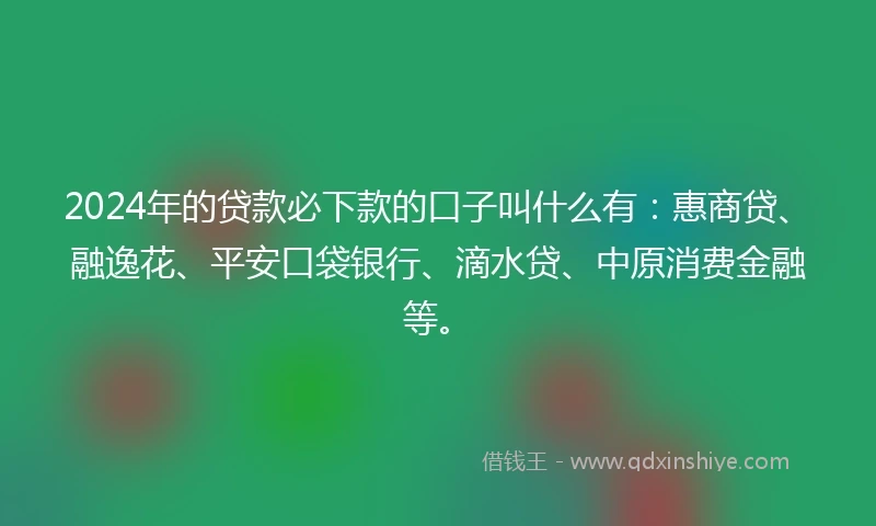 2024年的贷款必下款的口子叫什么有：惠商贷、融逸花、平安口袋银行、滴水贷、中原消费金融等。