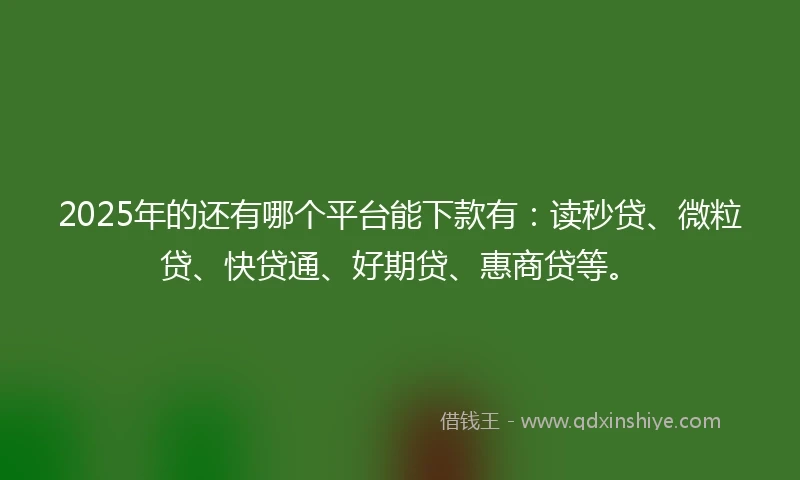2025年的还有哪个平台能下款有：读秒贷、微粒贷、快贷通、好期贷、惠商贷等。