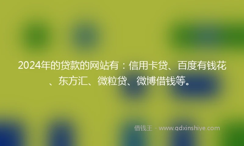 2024年的贷款的网站有：信用卡贷、百度有钱花、东方汇、微粒贷、微博借钱等。