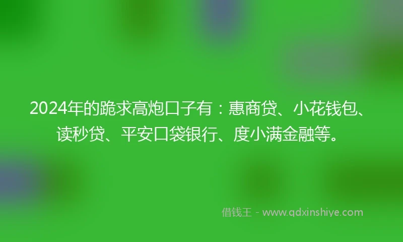 2024年的跪求高炮口子有:惠商贷、小花钱包、读秒贷、平安口袋银行、度小满金融等。