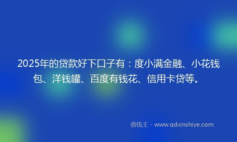 2025年的贷款好下口子有:度小满金融、小花钱包、洋钱罐、百度有钱花、信用卡贷等。