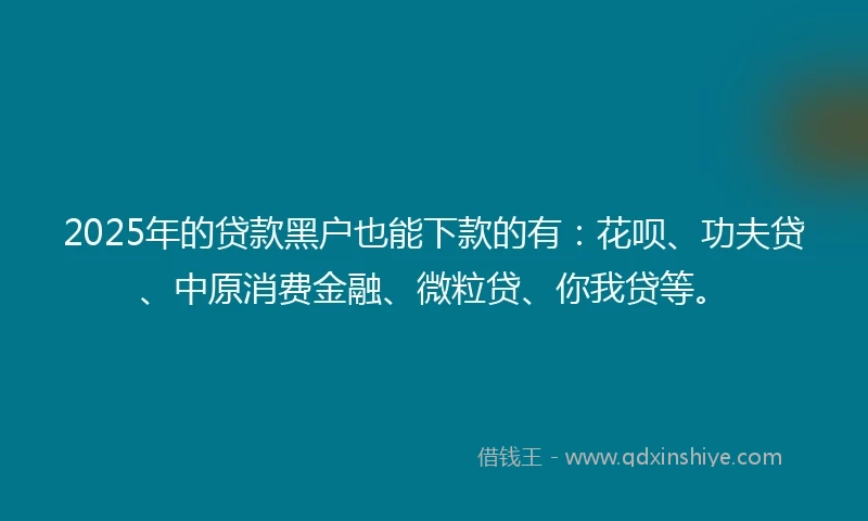 2025年的贷款黑户也能下款的有：花呗、功夫贷、中原消费金融、微粒贷、你我贷等。