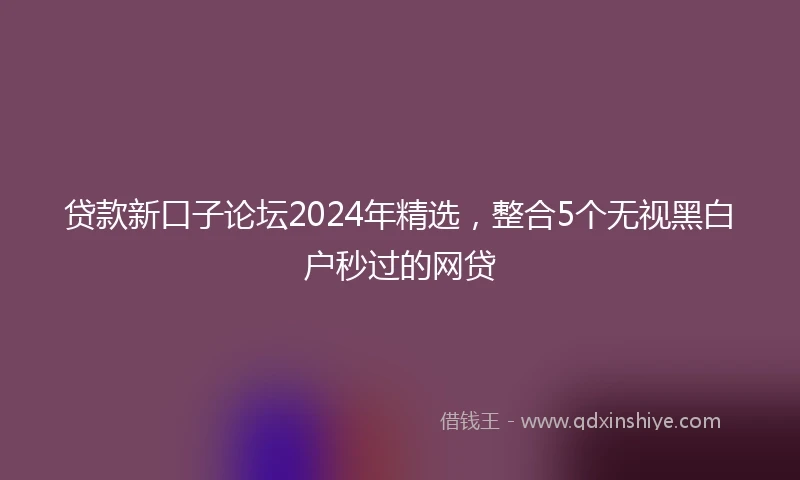 贷款新口子论坛2024年精选,整合5个无视黑白户秒过的网贷