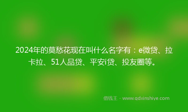 2024年的莫愁花现在叫什么名字有：e微贷、拉卡拉、51人品贷、平安i贷、投友圈等。