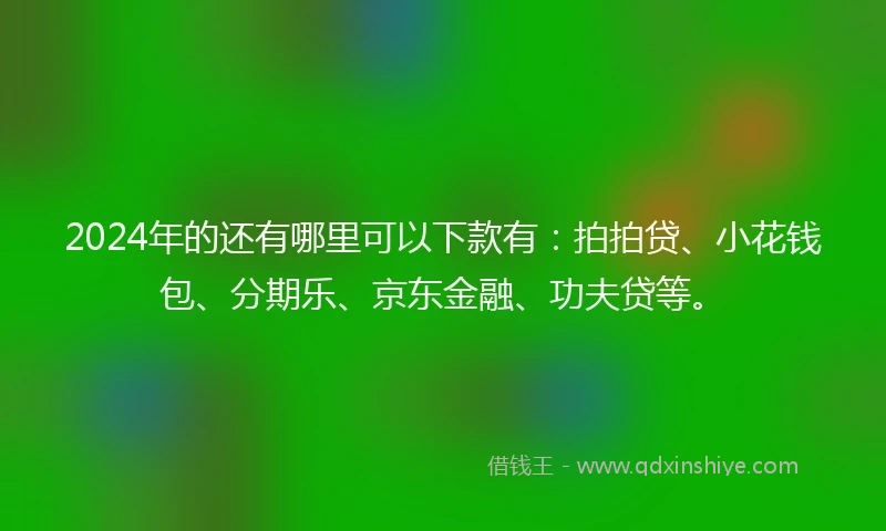 2024年的还有哪里可以下款有：拍拍贷、小花钱包、分期乐、京东金融、功夫贷等。