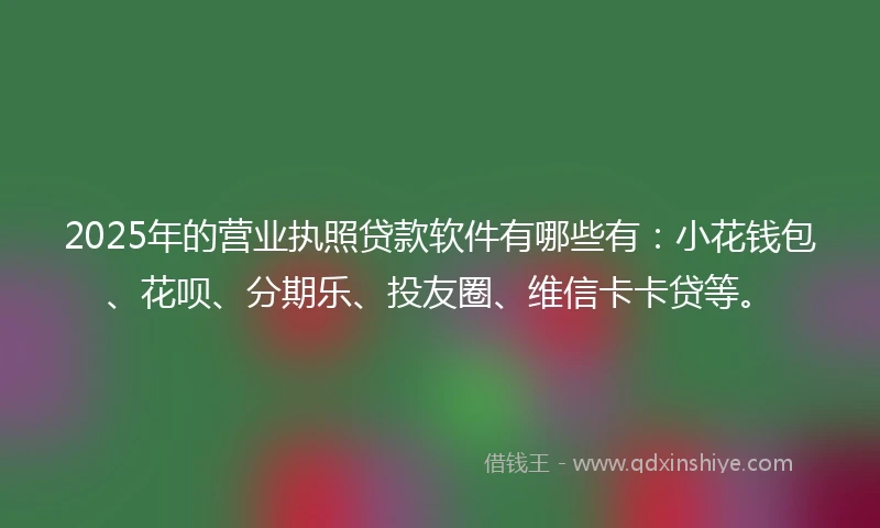2025年的营业执照贷款软件有哪些有：小花钱包、花呗、分期乐、投友圈、维信卡卡贷等。