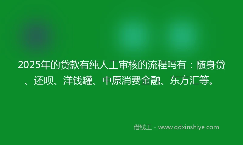 2025年的贷款有纯人工审核的流程吗有：随身贷、还呗、洋钱罐、中原消费金融、东方汇等。