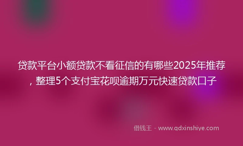 贷款平台小额贷款不看征信的有哪些2025年推荐，整理5个支付宝花呗逾期万元快速贷款口子