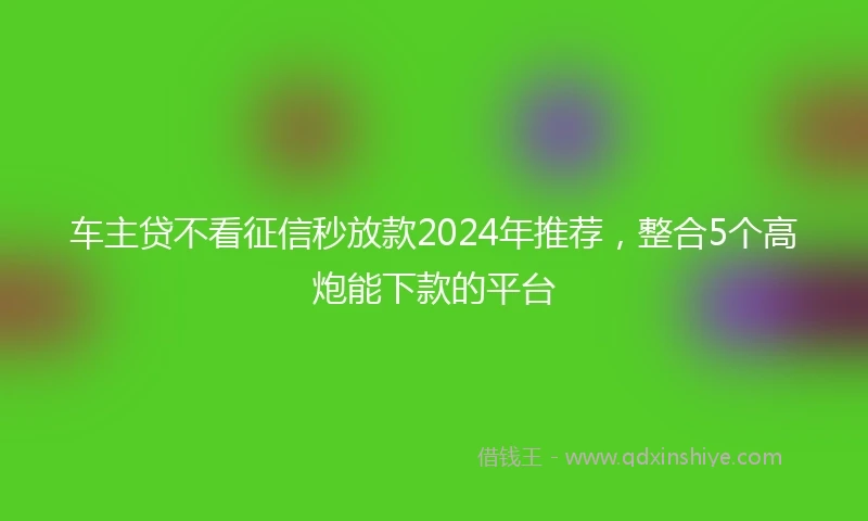 车主贷不看征信秒放款2024年推荐，整合5个高炮能下款的平台