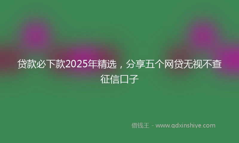 贷款必下款2025年精选，分享五个网贷无视不查征信口子
