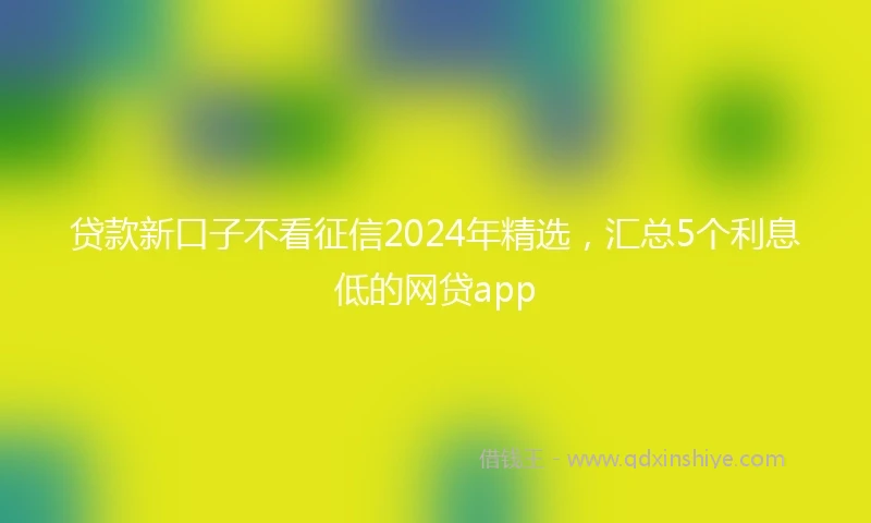 贷款新口子不看征信2024年精选，汇总5个利息低的网贷app