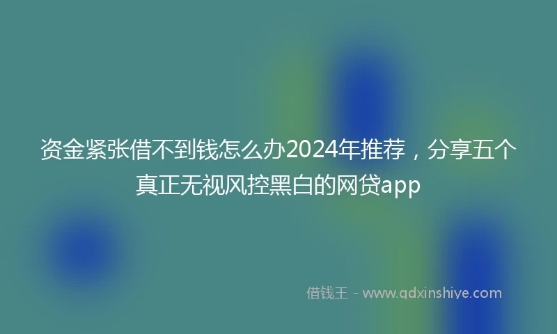 资金紧张借不到钱怎么办2024年推荐，分享五个真正无视风控黑白的网贷app
