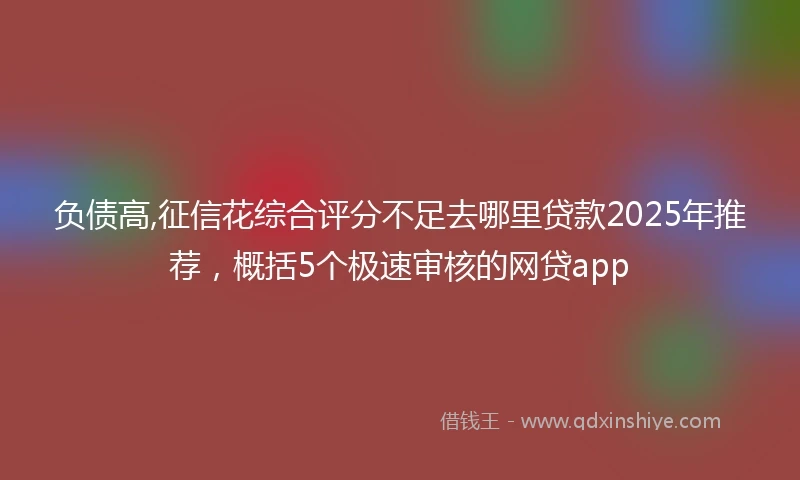 负债高,征信花综合评分不足去哪里贷款2025年推荐，概括5个极速审核的网贷app