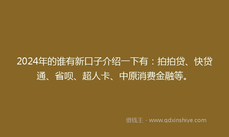 2024年的谁有新口子介绍一下有：拍拍贷、快贷通、省呗、超人卡、中原消费金融等。