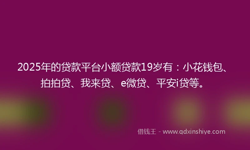 2025年的贷款平台小额贷款19岁有：小花钱包、拍拍贷、我来贷、e微贷、平安i贷等。