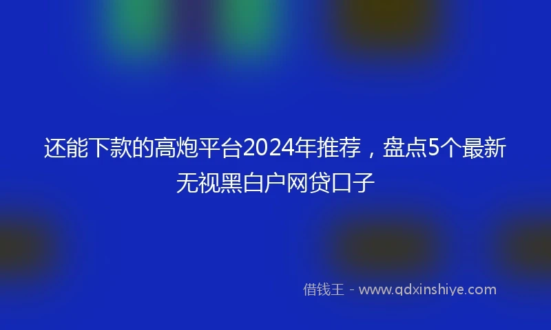 还能下款的高炮平台2024年推荐，盘点5个最新无视黑白户网贷口子