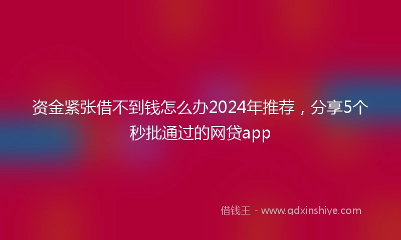 资金紧张借不到钱怎么办2024年推荐，分享5个秒批通过的网贷app