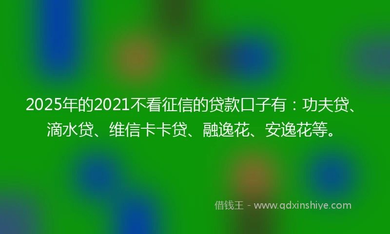 2025年的2021不看征信的贷款口子有：功夫贷、滴水贷、维信卡卡贷、融逸花、安逸花等。