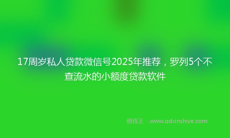 17周岁私人贷款微信号2025年推荐，罗列5个不查流水的小额度贷款软件