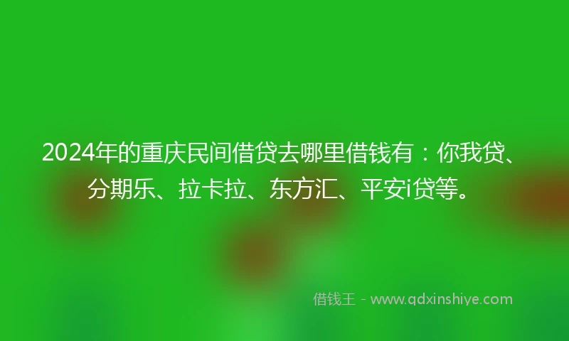 2024年的重庆民间借贷去哪里借钱有：你我贷、分期乐、拉卡拉、东方汇、平安i贷等。