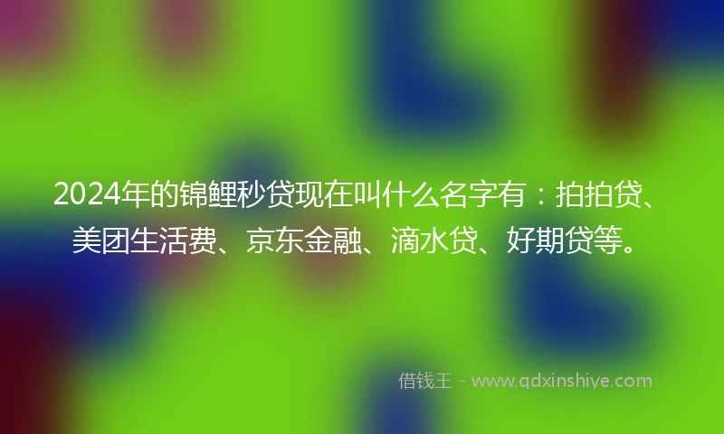 2024年的锦鲤秒贷现在叫什么名字有：拍拍贷、美团生活费、京东金融、滴水贷、好期贷等。