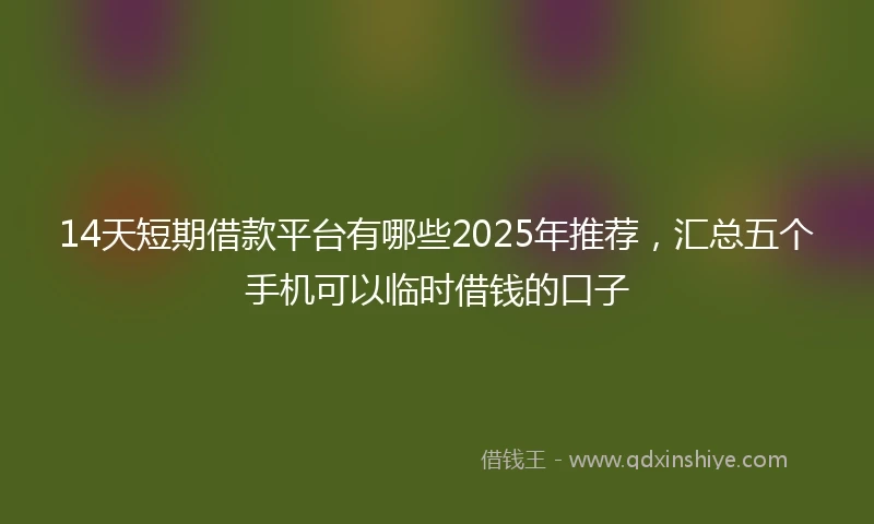 14天短期借款平台有哪些2025年推荐，汇总五个手机可以临时借钱的口子